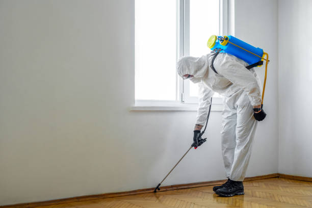 Best Insect Control  in Tieton, WA