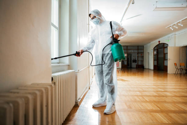 Best Wasp Removal Services  in Tieton, WA